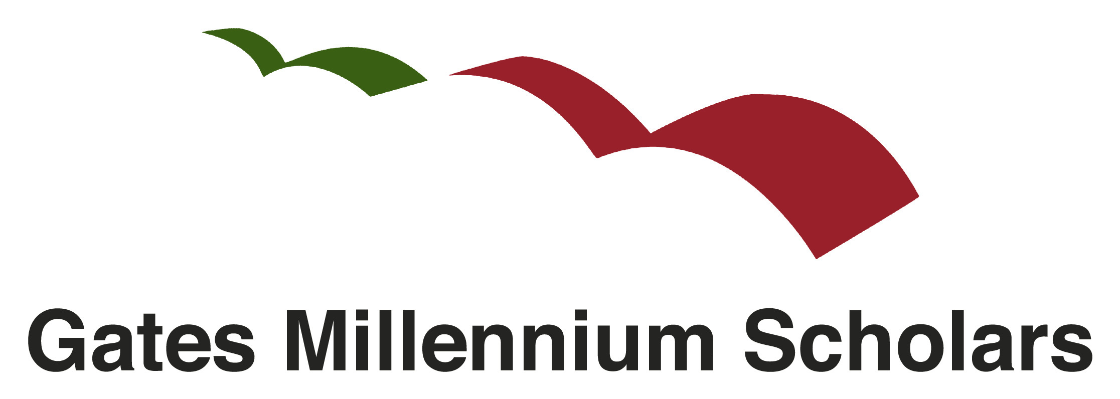 How to Prepare for Gates Millennium Scholarship Application: A Comprehensive Guide