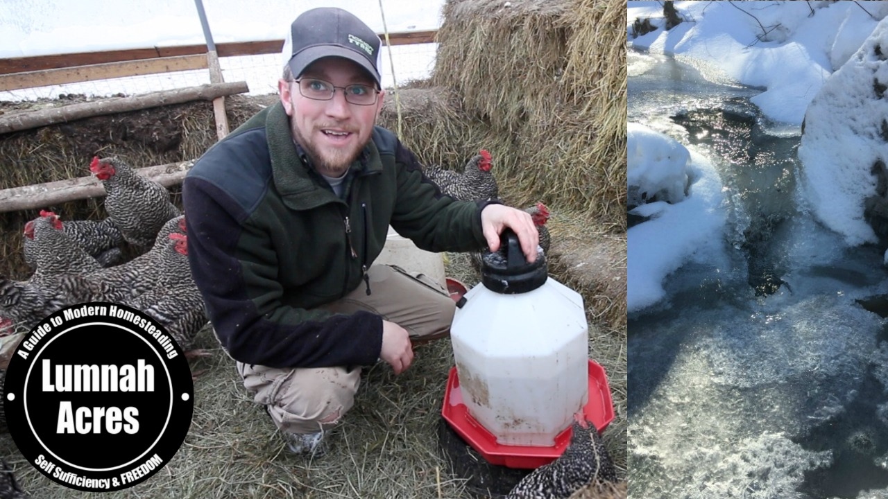 Video: HOW to KEEP your CHICKENS WATER from FREEZING OFF-GRID HACK