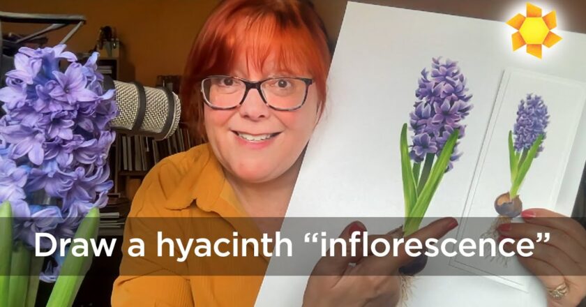 How to draw realistic hyacinth inflorescence in alcohol markers