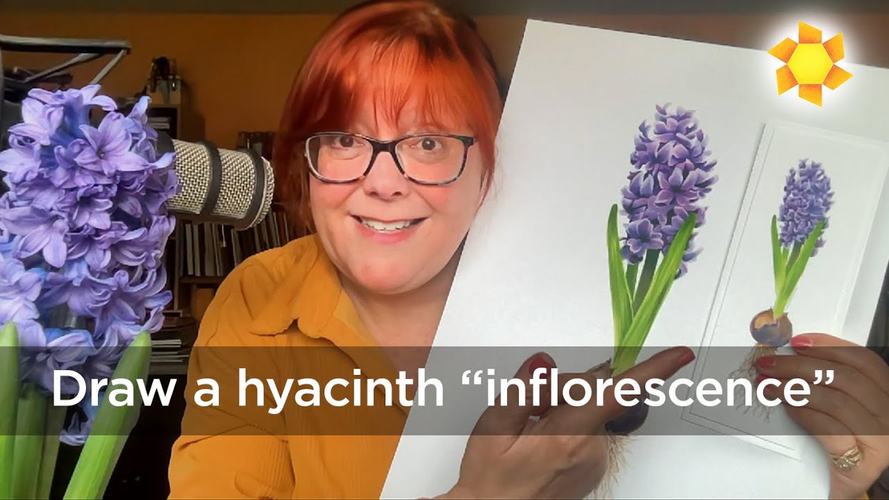 How to draw realistic hyacinth inflorescence in alcohol markers How to draw realistic hyacinth inflorescence in alcohol markers